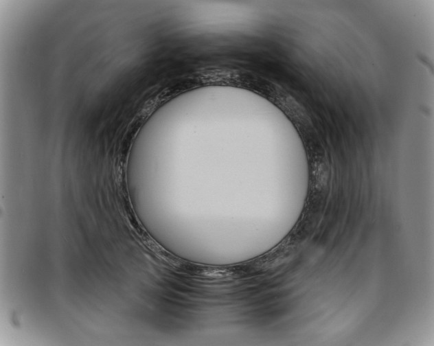 X0000097670753200802291500
