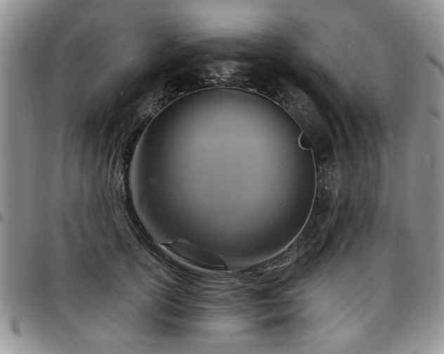 X0000097670754200802291500