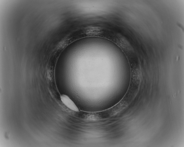 X0000097670755200802291500