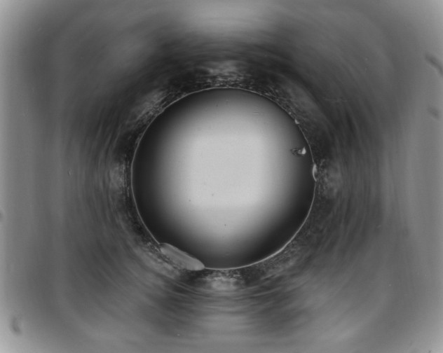 X0000097670756200802291500