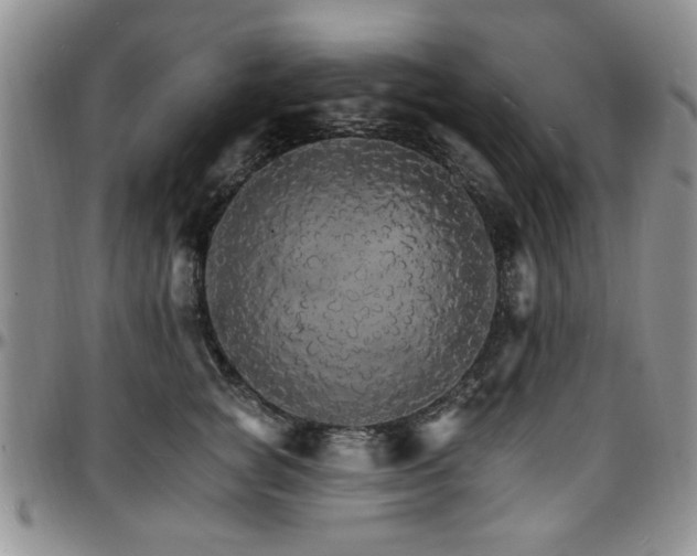 X0000097670757200802291500