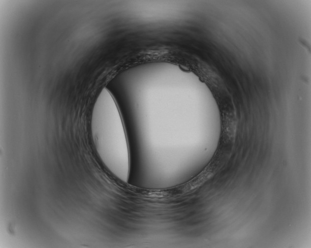 X0000097670758200802291500