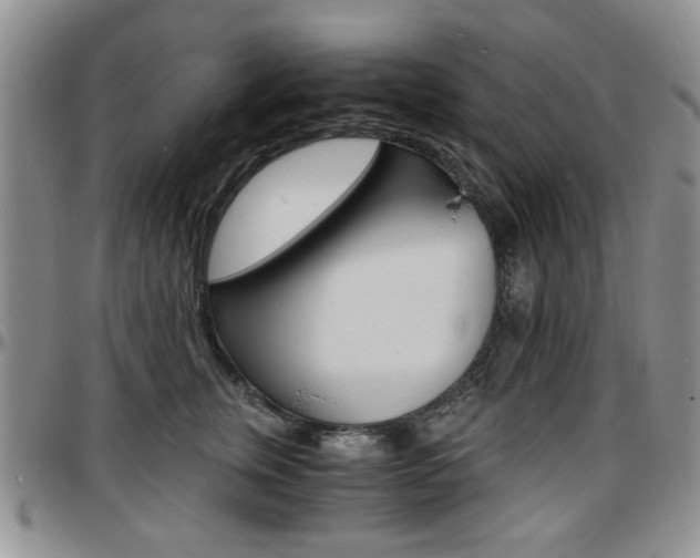 X0000097670759200802291500