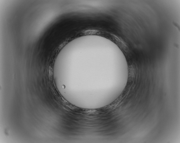 X0000097670761200802291500