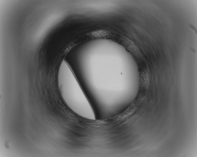 X0000097670762200802291500