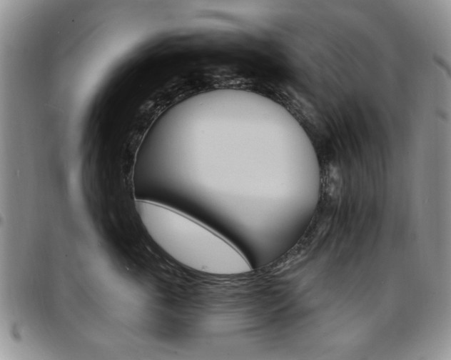 X0000097670763200802291500