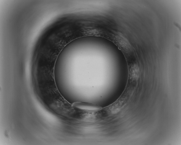 X0000097670764200802291500