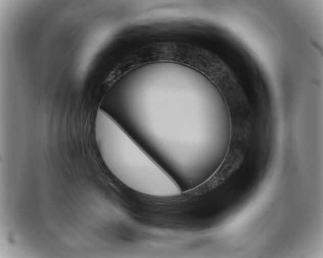 X0000097670766200802291500