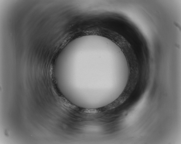 X0000097670767200802291500