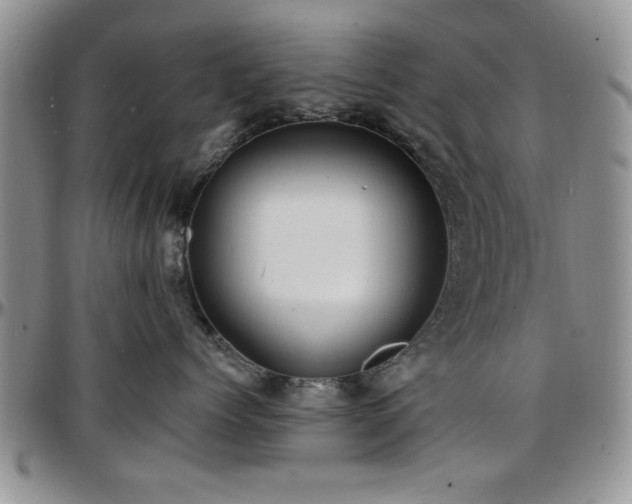 X0000097670768200802291500