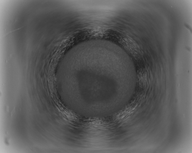 X0000097670769200802291459