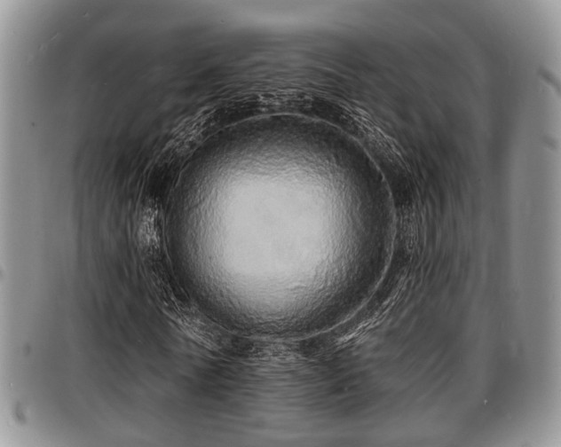 X0000097670770200802291459