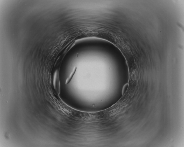 X0000097670772200802291459