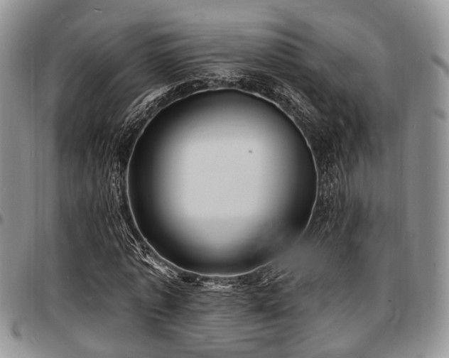 X0000097670773200802291459
