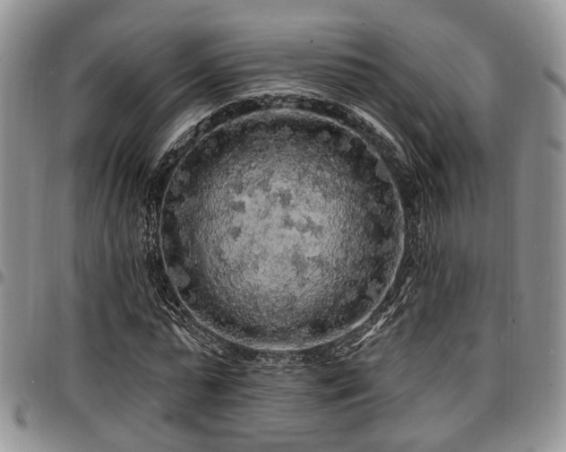 X0000097670775200802291459
