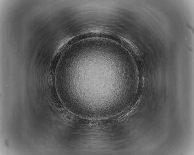 X0000097670776200802291459