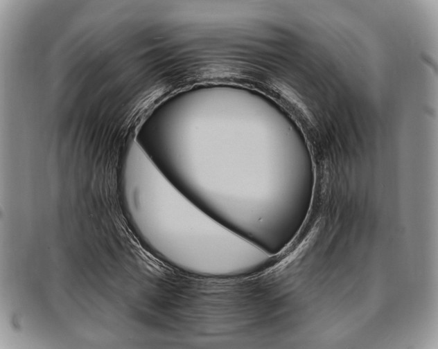 X0000097670777200802291459