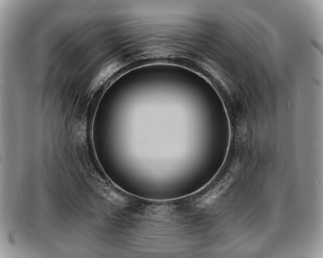 X0000097670778200802291459
