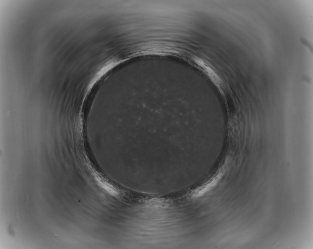X0000097670779200802291459