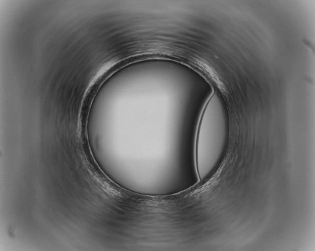 X0000097670780200802291459
