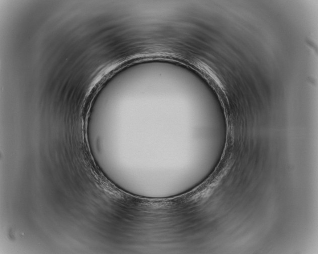 X0000097670781200802291459