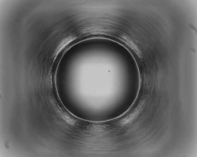 X0000097670782200802291459