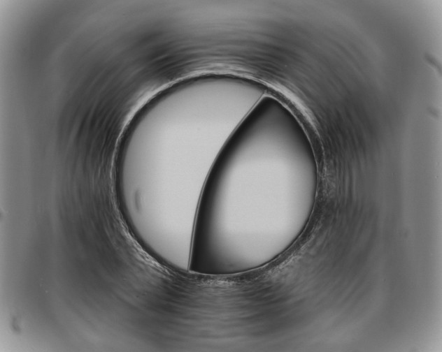 X0000097670783200802291459