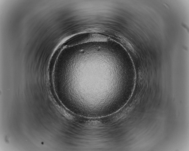 X0000097670784200802291459