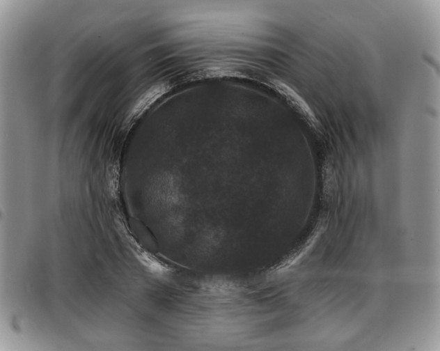X0000097670785200802291459