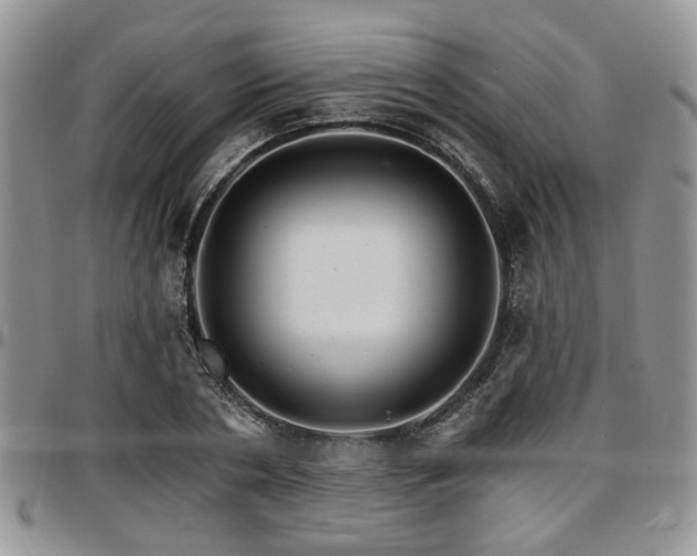 X0000097670786200802291459
