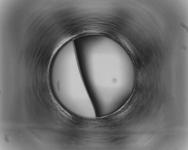 X0000097670787200802291459