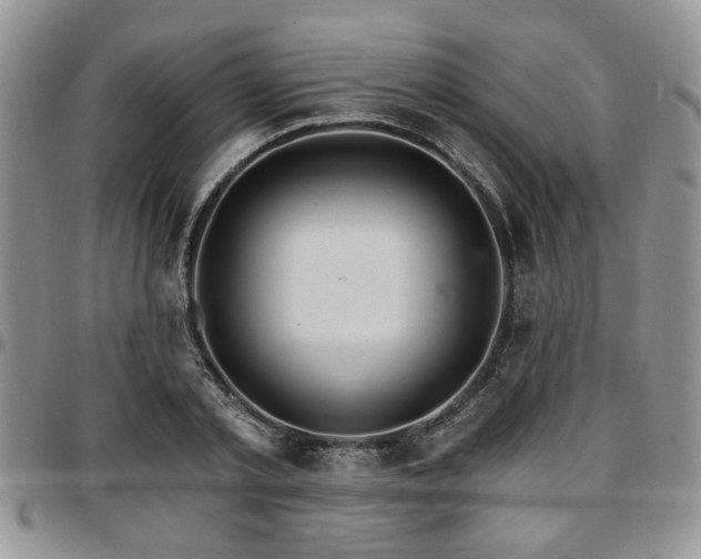 X0000097670789200802291459