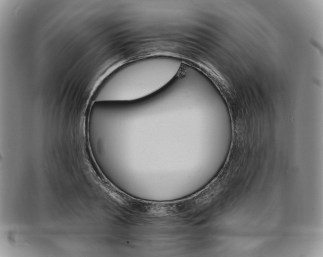 X0000097670790200802291459