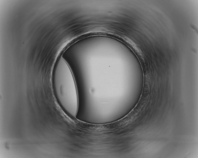 X0000097670791200802291459