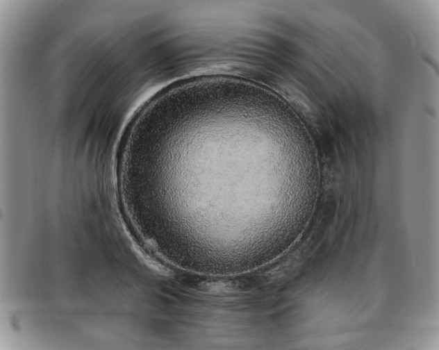X0000097670792200802291459