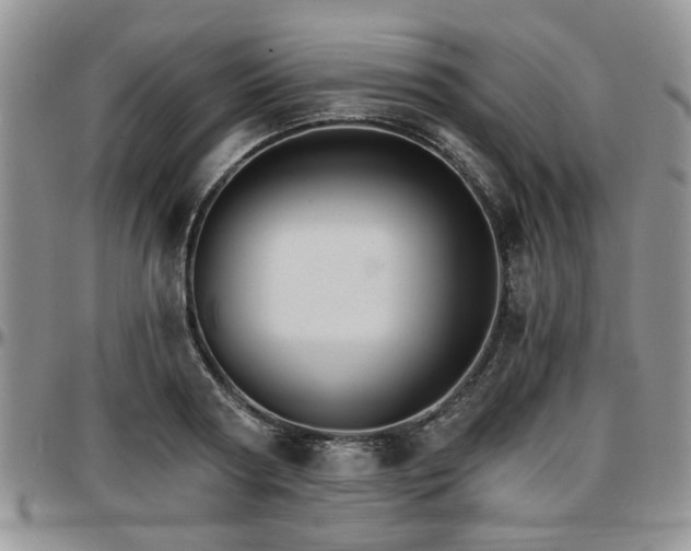 X0000097670794200802291459