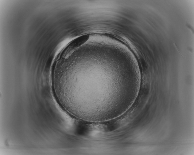 X0000097670795200802291459