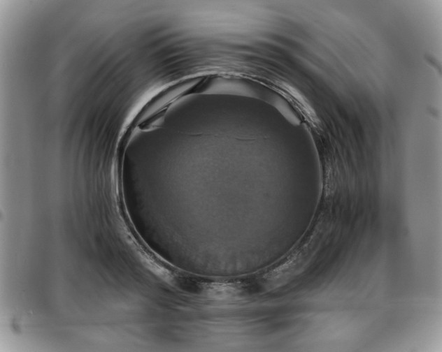 X0000097670796200802291459