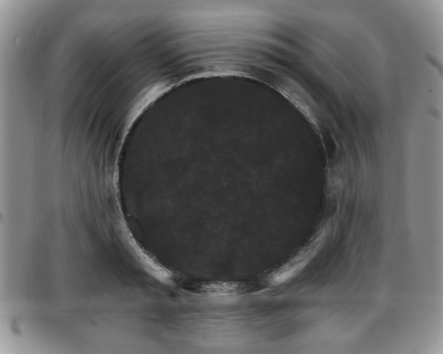 X0000097670797200802291459