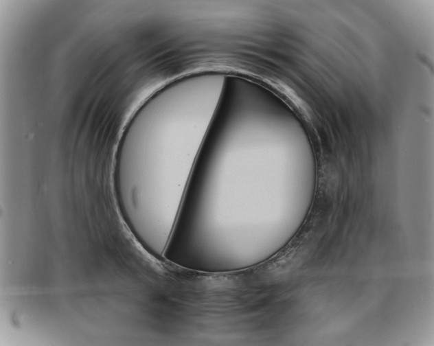 X0000097670799200802291459