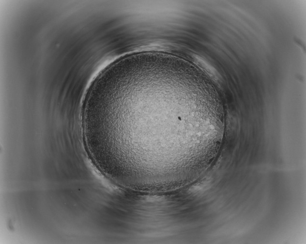 X0000097670800200802291459