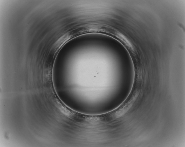 X0000097670801200802291459