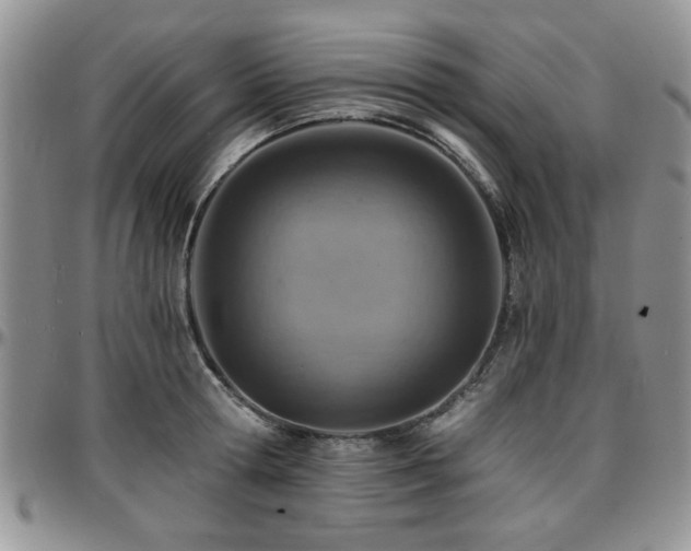 X0000097670802200802291459