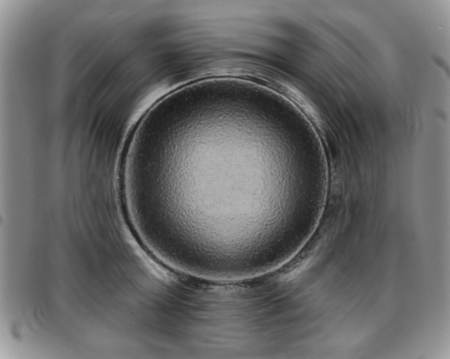 X0000097670803200802291459