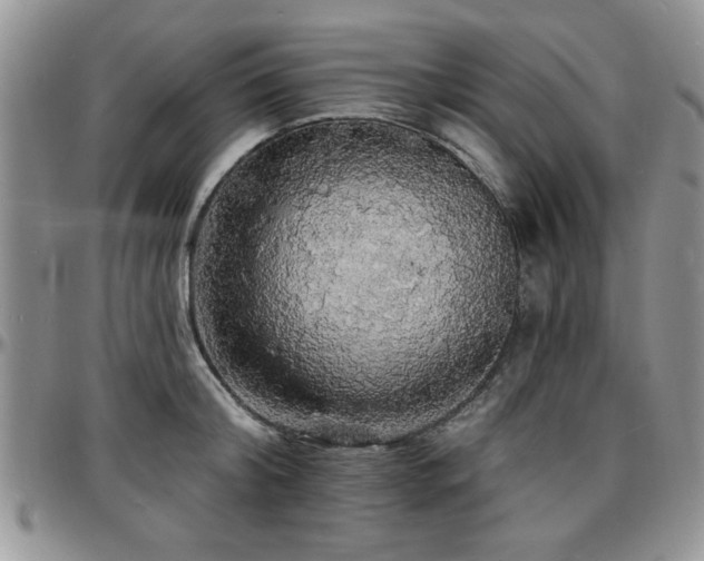 X0000097670804200802291459