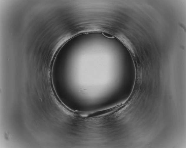 X0000097670805200802291459