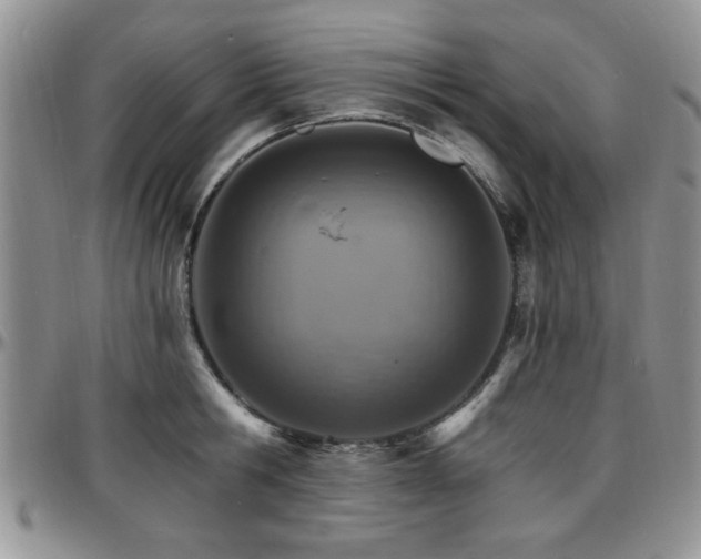 X0000097670806200802291459