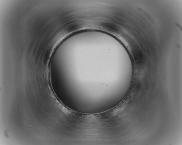 X0000097670807200802291459