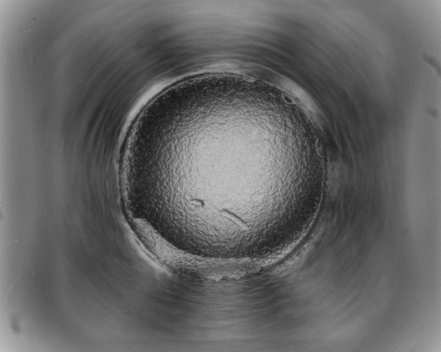 X0000097670808200802291459