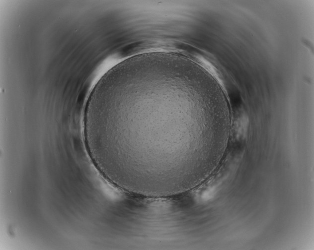 X0000097670811200802291459